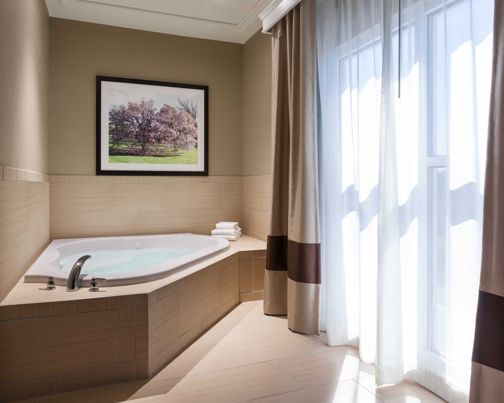 Comfort Suites Dubois Room photo
